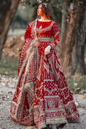 Sheema Kirmani by MNR