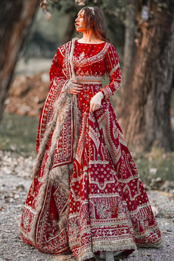 Sheema Kirmani by MNR