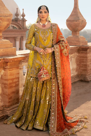 Zaitoon Bibi by MNR