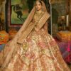 Gul Bahaar by Fahad Hussayn