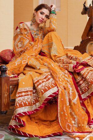 Zeenat Mahal by MNR
